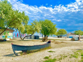 Mamaia North Apartments